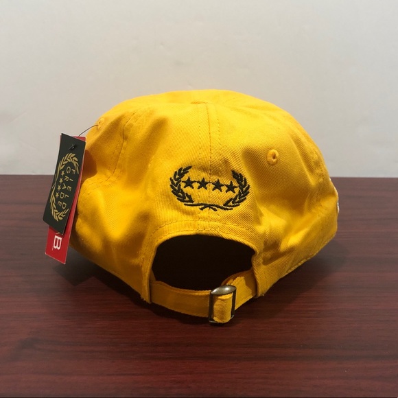 Field Grade, Apollo 11 30th Anniversary, Distressed Hat - Picture 5 of 10